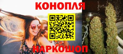 индика Долгопрудный