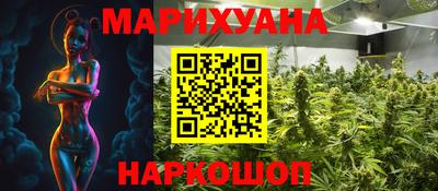 индика Долгопрудный