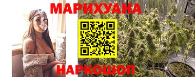 индика Долгопрудный
