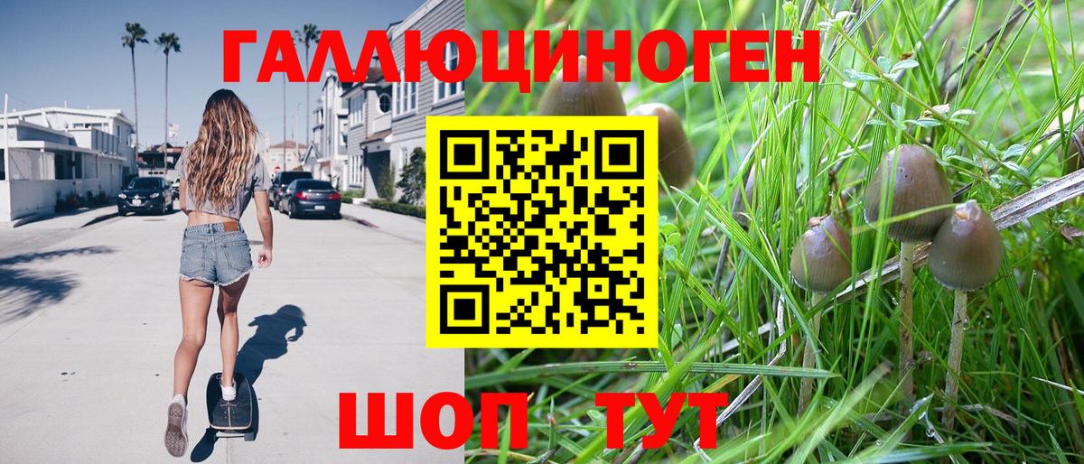 Галлюциногенные грибы мицелий  Вход с VPN  Галлюциногенные грибы мицелий  Вольск 